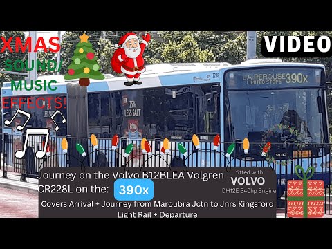 TJH* Route 390x (Pacifc Square Maroubra → Juniors Kingsford Light Rail)