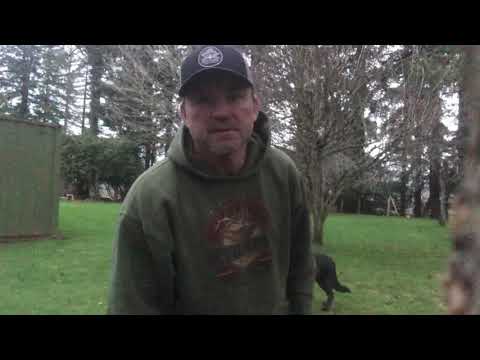 Archery practice in wind and rain.