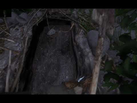 Kingdom Come - Deliverance - Hidden Treasure!