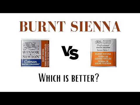Burnt Sienna Watercolour - Winsor & Newton vs Cotman
