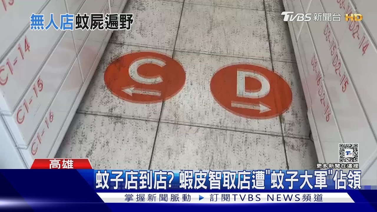 嚇壞! 蝦皮智取店「蚊子滿天飛」民眾取貨不敢呼吸