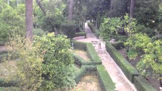 View Your Garden From Above to Increase its Beauty