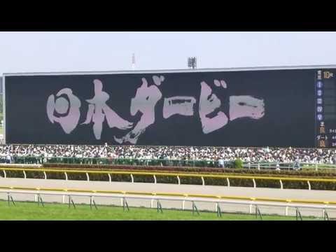 レッドエルディスト　in 東京競馬場　at 2016.05.29. 日本ダービー