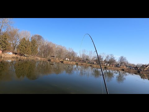 #csakapeca - Dunakeszi Tőzegtó - Feeder peca - 2023.03.04.