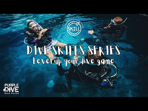 Alternate Air Source Use, Stationary Scuba Diving - PADI IDC and Divemaster Skills Circuit