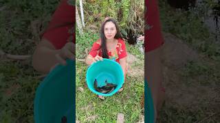 Download lagu Gadis Dayak Akhirnya Jackpot Lele Rawa Lagi! 🐟🔥 Bubu Umpan Usus Ayam Bikin Kaget 😱🎣 mp3