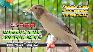 Download lagu Kenari GACOR NGEREK‼️ Masteran Kenari PAUD dan Pancingan Kenari MACET BUNYI dan Betina NGIWIR - 372 mp3 Download lagu Kenari GACOR NGEREK‼️ Masteran Kenari PAUD dan Pancingan Kenari MACET BUNYI dan Betina NGIWIR - 372 mp3