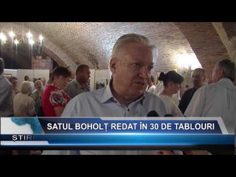 Satul Boholt redat in 30 de tablouri