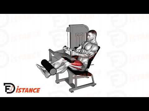 Exercice Leg Extension