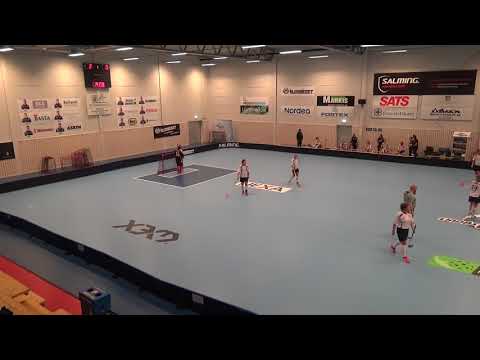 171220 Damer Div.1 Lindås IBK - Kärra IBK (13-4) Per1c