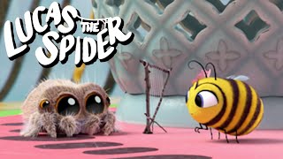 Lucas the Spider's Adventures With Maizie  + More Lucas the Spider Cartoons for Kids