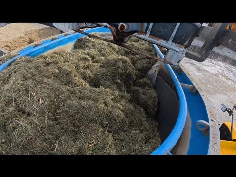 Maybe this dry TMR isn't bad either 🤔