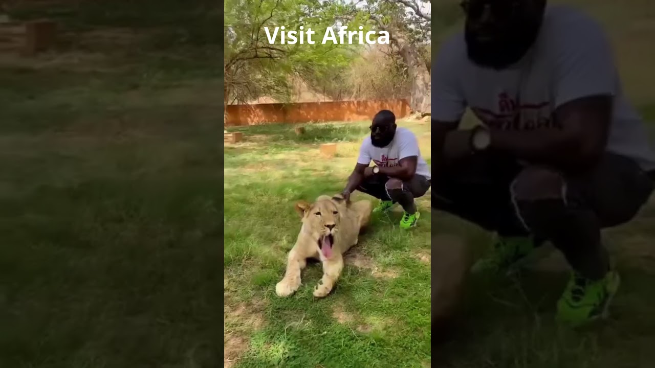 Explorez les joyaux cachés du pays de la Téranga 🌟✨ - Une escapade inoubliable à ne pas manquer!