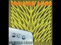 Volcano Suns - Wellness
