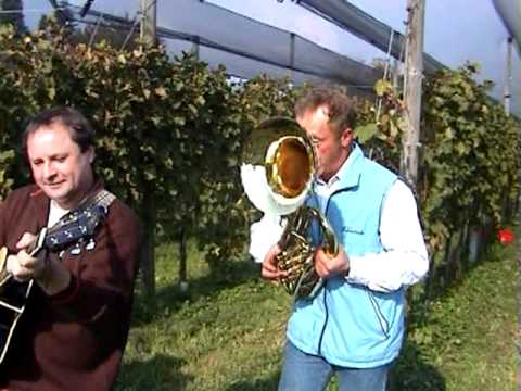 Franjo Slavinec kvintet   na trgatvi