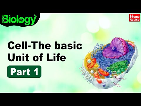 Cell: The Basic Unit of Life | Part I | Biology | Home Revise