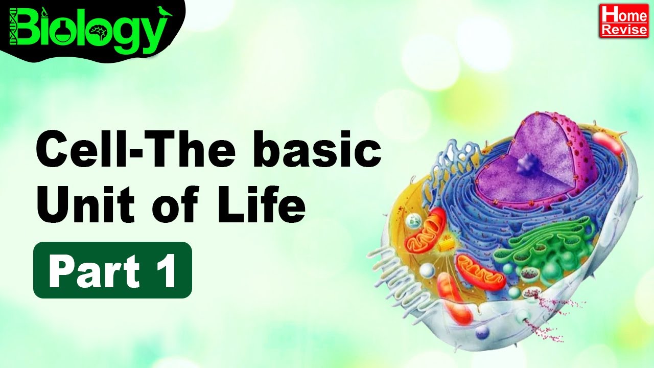 Cell: The Basic Unit of Life | Part I | Biology | Home Revise