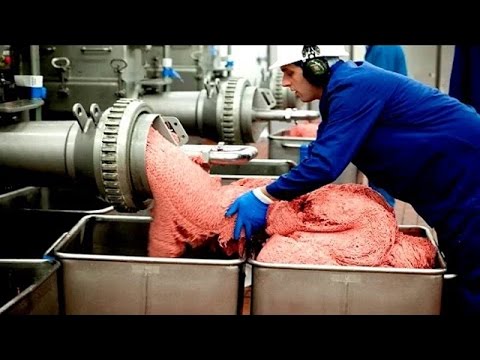 اقوى فيديو من داخل مصنع ماكدونالدز كيفية تشغيل المصنع | روعة يستحق المشاهدة