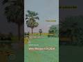 Pardeshi Pardeshi Status Short Video 2 Boliwood 2