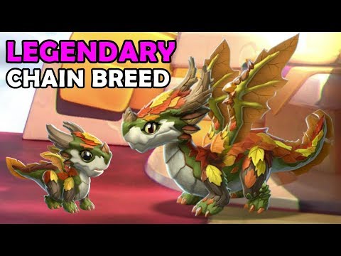 How to Breed the FALL DRAGON! Chain Breeding Event! LIVESTREAM TOMORROW! - DML #1261