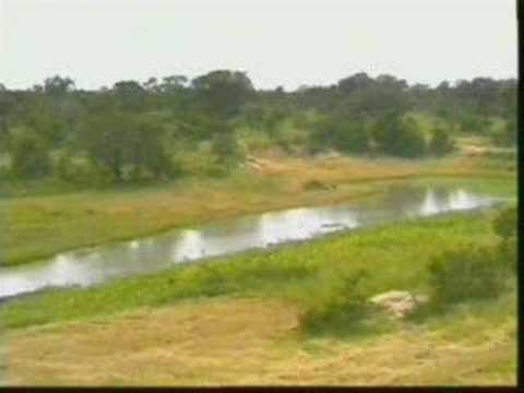 It's Raining On Djuma 012408