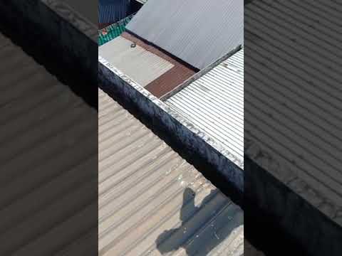 THI CÔNG SƠN CHỐNG NÓNG CHO MÁI TÔN