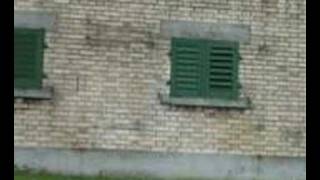 So Damn Stupid "The Ring"