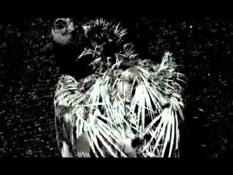 Primal Fear - Six Times Dead (2009 Video   Lyrics).flv