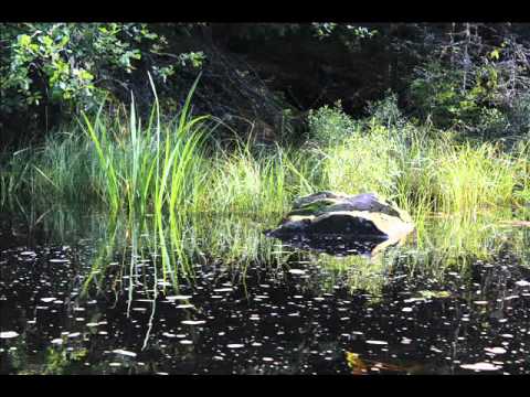 Sommarcafé i Fågelfors