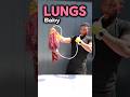 Inflating Lungs Biology Class