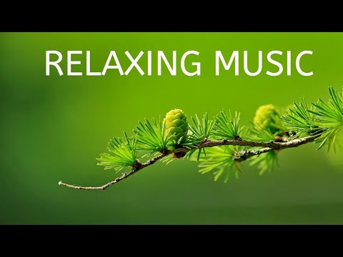 BEAUTIFUL NATURE AND RELAXING