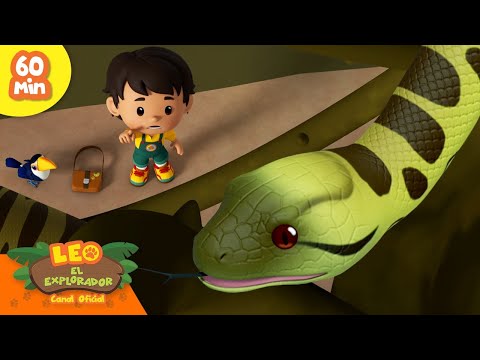 ¡SERPIENTES DESLIZANTES! 🐍 ¡Serpientes, Camaleones y más! ✨ | Leo, El Explorador | Animación