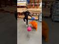 Let It Grow HomeDepot Thelorax Lorax Letitgrow Memes Prank Cosplay Funny Homedepot Lol