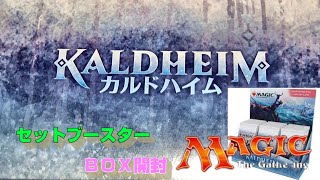 【ＭＴＧ】カルドハイム　セットブースター開封‼　～やっぱり世界樹でロマンを…～