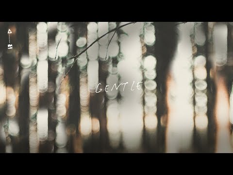 Gentle by Peter Katz: Lyric Video