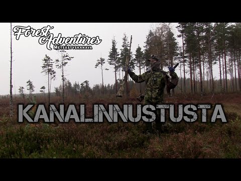Kanalinnustus 2023 | Osa 1