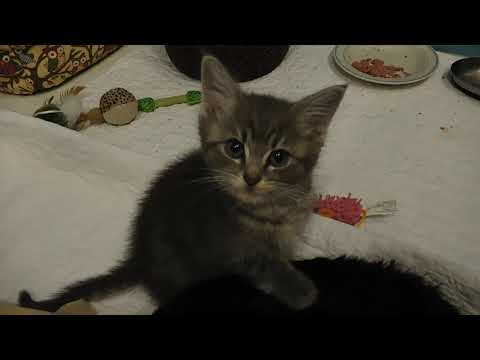 20191010pm-3 My Brofur Makes me Happy