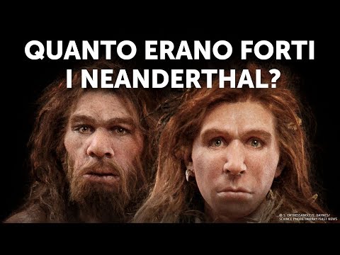 Chi Vincerebbe: Umani Moderni vs Neanderthal