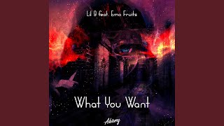 What You Want Music Video