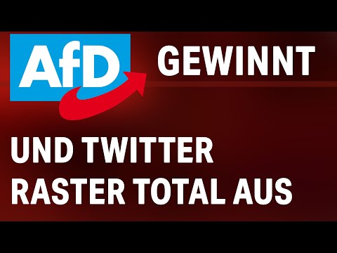 AfD Wins Election & Twitter Freaks Out (Politicians Insult Voters)