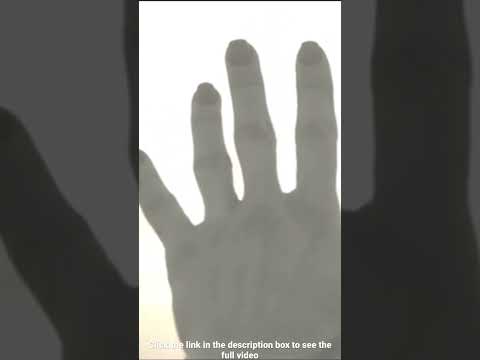 Witness21  2023 02 04