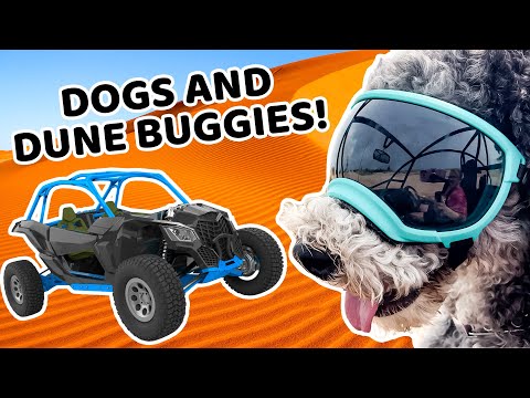 Witness21 Editor  2024 03 08