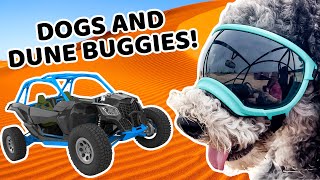 Download lagu Doggie Roadtrip!! | We Can Give Our Worries to God | Kids' Club Older mp3 Download lagu Doggie Roadtrip!! | We Can Give Our Worries to God | Kids' Club Older mp3