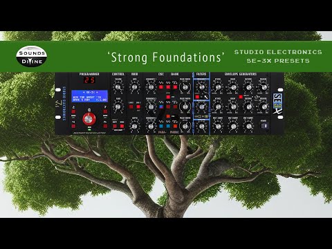SoundsDivine 'Strong Foundations' - Studio Electronics SE-3X