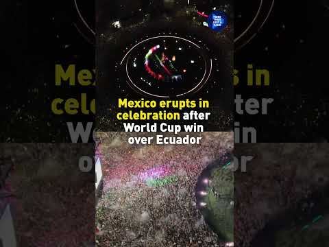 Mexico fans erupt in celebration after World Cup win over Ecuador