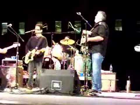 Los Lobos  "Kiko & the Lavender Moon"