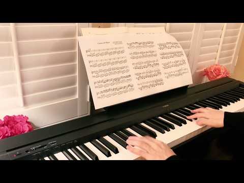 (Yamaha P45) Canon in D - Pachelbel