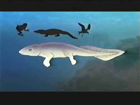 NOVA: The Missing Link (2002) | Hunting the Creature Between Fins and Feet 🦴🦎