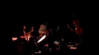 The Magnetic Fields - Plant White Roses (Live @ Royal Festival Hall, London, 25.04.12)