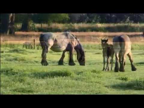 Landgoed Nijenhuis Diepenheim